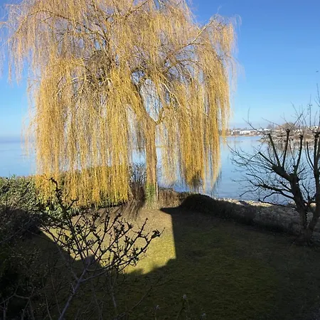 Urlaub Am Bodensee In - Einmalige Seesicht *