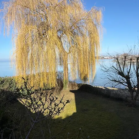 Urlaub Am Bodensee In - Einmalige Seesicht Apartament Staad